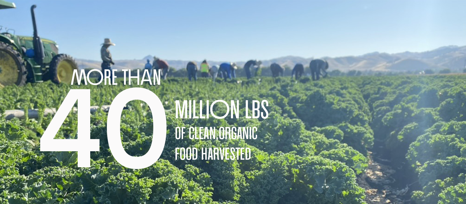 More Than 40 Million Lbs of Clean, Organic Food Harvested